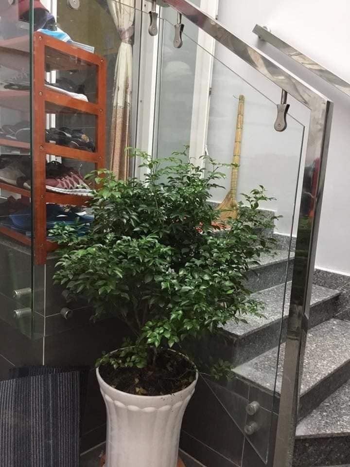 Bán gấp nhà mới đang ở, 58m2 hẻm xe hơi đường An Dương Vương, An Lạc, Bình Tân