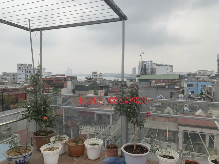 Siêu Phẩm Tây Hồ Nhà Đẹp Cần Bán 32m2 MT 4m Giá 3,55 tỷ