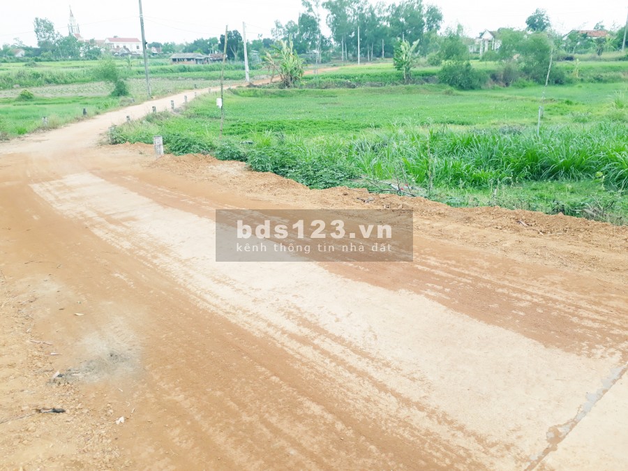 Bán lô đất giá rẻ thôn Phú Hưng, Xã Bình Tân, Huyện Tây Sơn, Bình Định