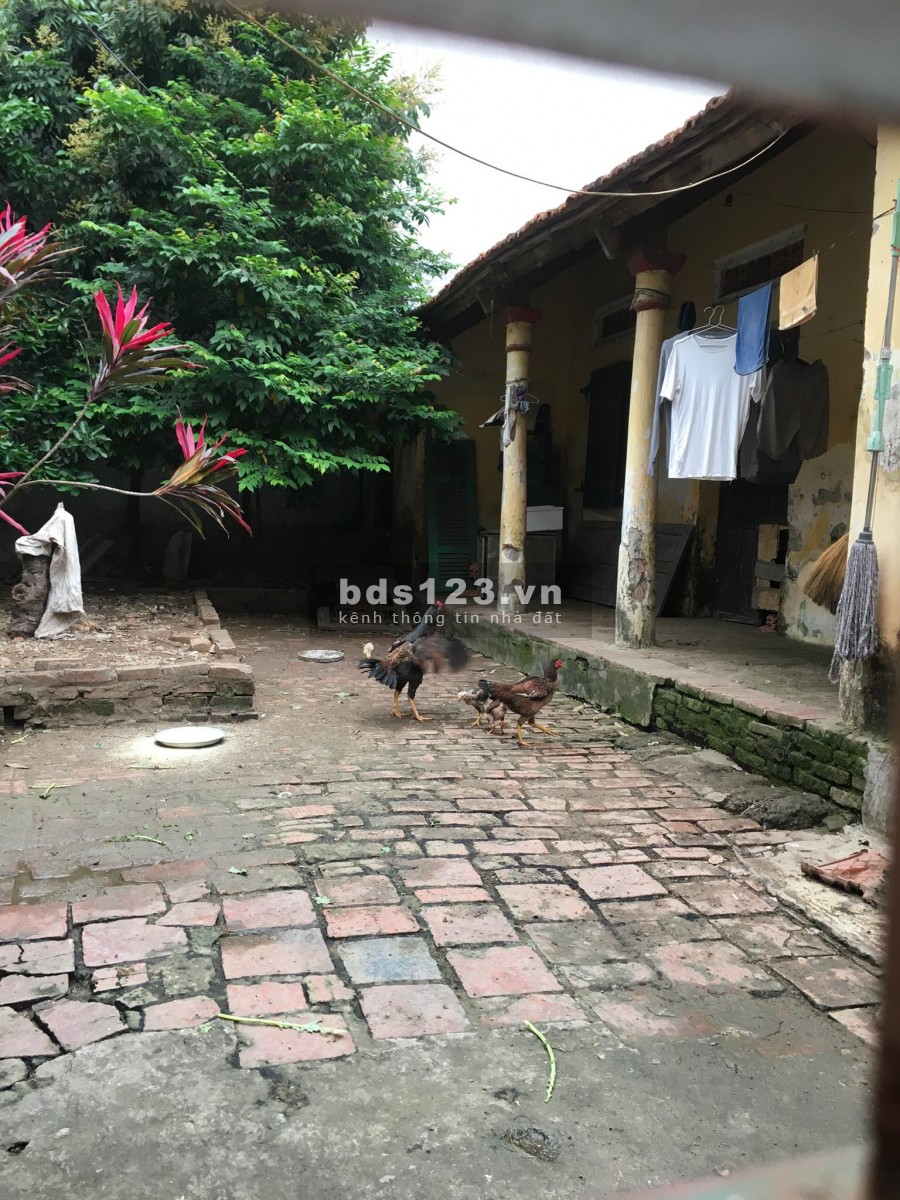 Đất 90m2, mt 6.2m nở hậu, chia lô, nhỉnh 1.9 tỷ Liên Ninh, Thanh Trì, 0976151518