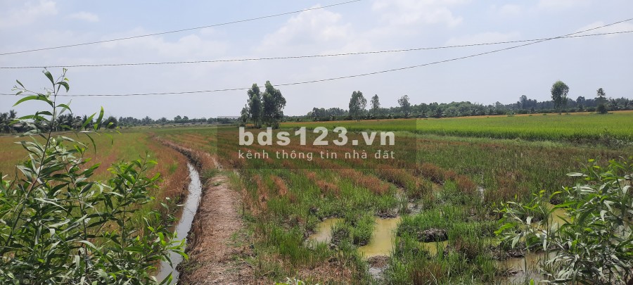 Chính chủ bán gấp 4000m2 Đất đường lớn Tân Bửu, giáp Bình Chánh 2km, giá 4ty800tr.