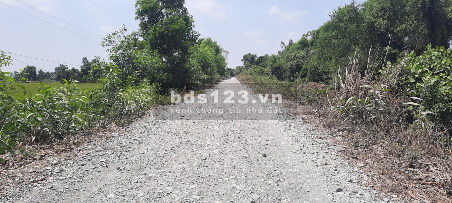 Chính chủ bán gấp 4000m2 Đất đường lớn Tân Bửu, giáp Bình Chánh 2km, giá 4ty800tr.