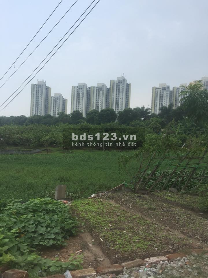 Bán đất Đa Tốn Khoan Tế 49m2 đối diện Vinpearl Safari Vuông đét. LH 0982852808