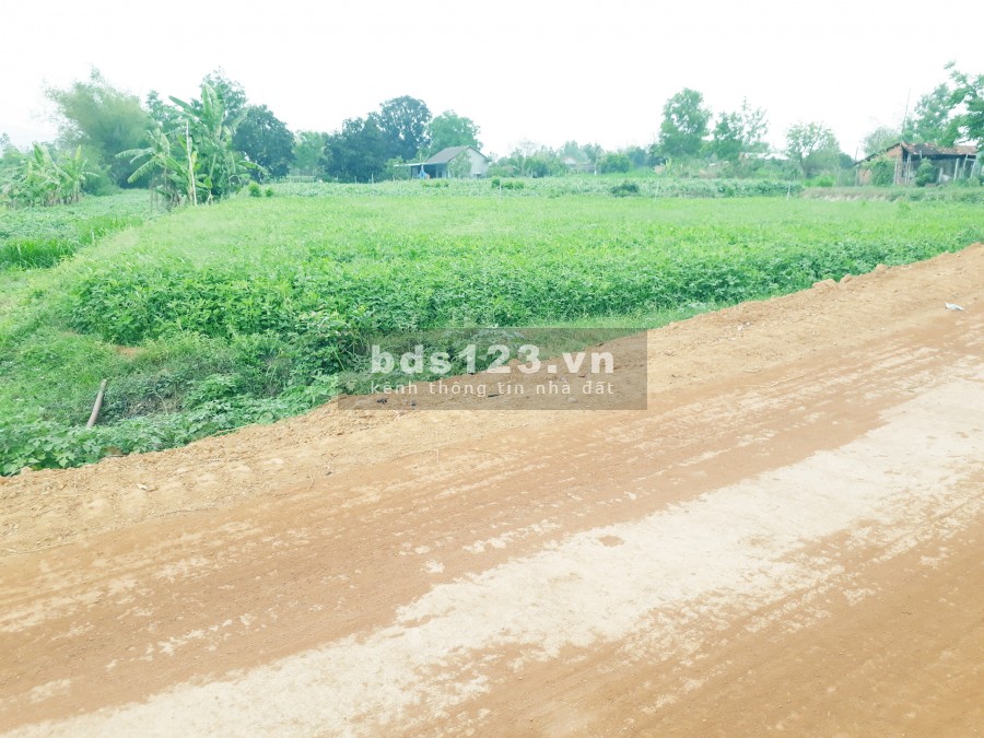 Bán lô đất giá rẻ thôn Phú Hưng, Xã Bình Tân, Huyện Tây Sơn, Bình Định
