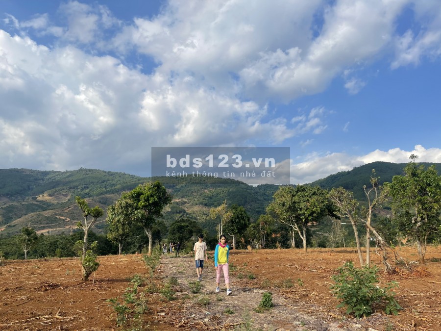 Bán Lô Đất View Đồi Gần Thị Trấn Nam Ban, Chỉ 1.7 Triệu/M2