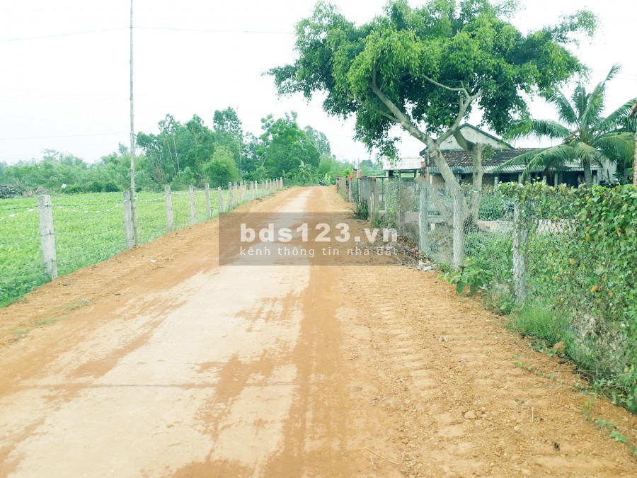 Bán lô đất giá rẻ thôn Phú Hưng, Xã Bình Tân, Huyện Tây Sơn, Bình Định
