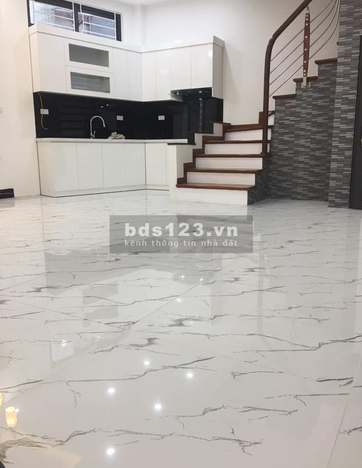 Cần bán trong tháng nhà phố Bạch Mai, 55m2, 5 tầng, ngõ ô tô, kinh doanh chỉ 4.1 tỷ
