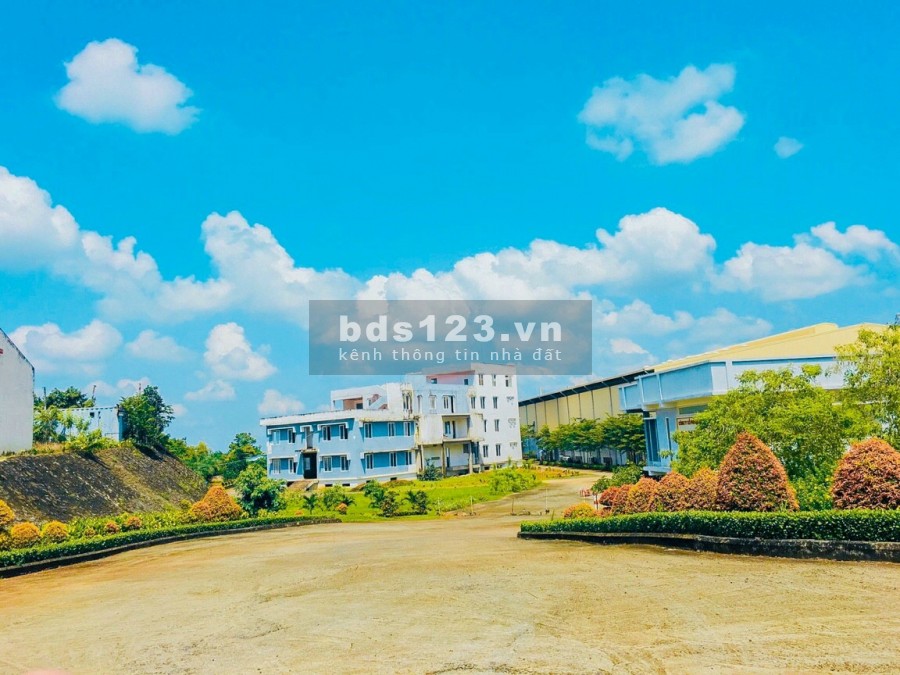 ĐẤT LONG THÀNH CÓ NÊN MUA HAY KHÔNG?