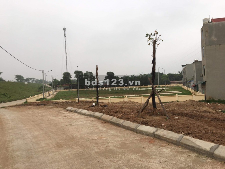 Siêu phẩm phân lô giáp đô thị Sông Hồng, MT 8m*15, Ô tô tránh, DT 120m, Giá đầu tư