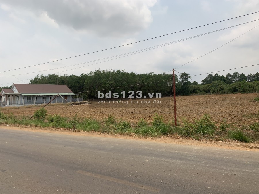 ĐẤT LONG THÀNH CÓ NÊN MUA HAY KHÔNG?