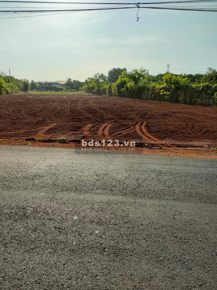 TẠI SAO PHẢI ĐẦU TƯ LONG THÀNH TẠI THỜI ĐIỂM NÀY