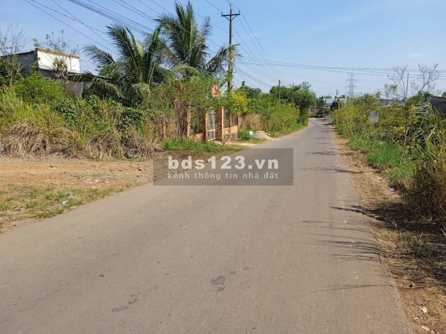 Kẹt tiền bán gấp miếng đất vườn 1000m2 huyện Trảng Bom
