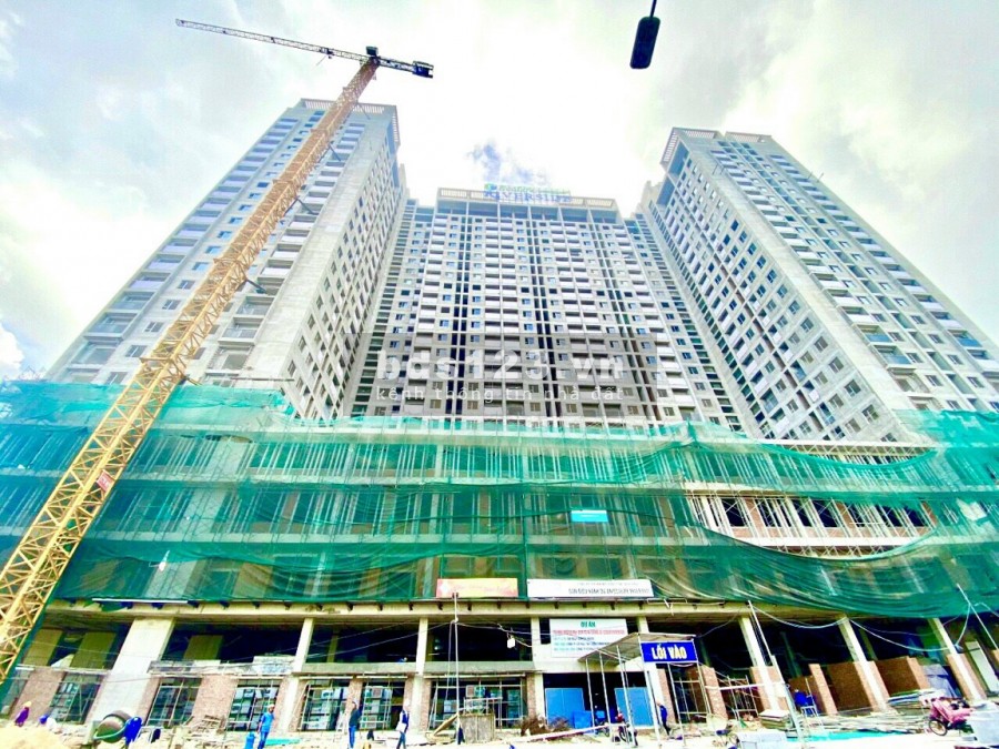 QUY NHƠN, CĂN HỘ CAO CẤP SẮP BÀN GIAO, CHỈ CÓ ECOLIFE.