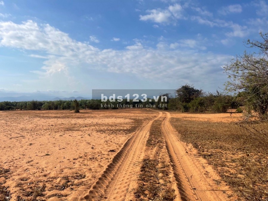 ĐẤT VƯỜN VEN BIỂN BẮC BÌNH - BÌNH THUẬN