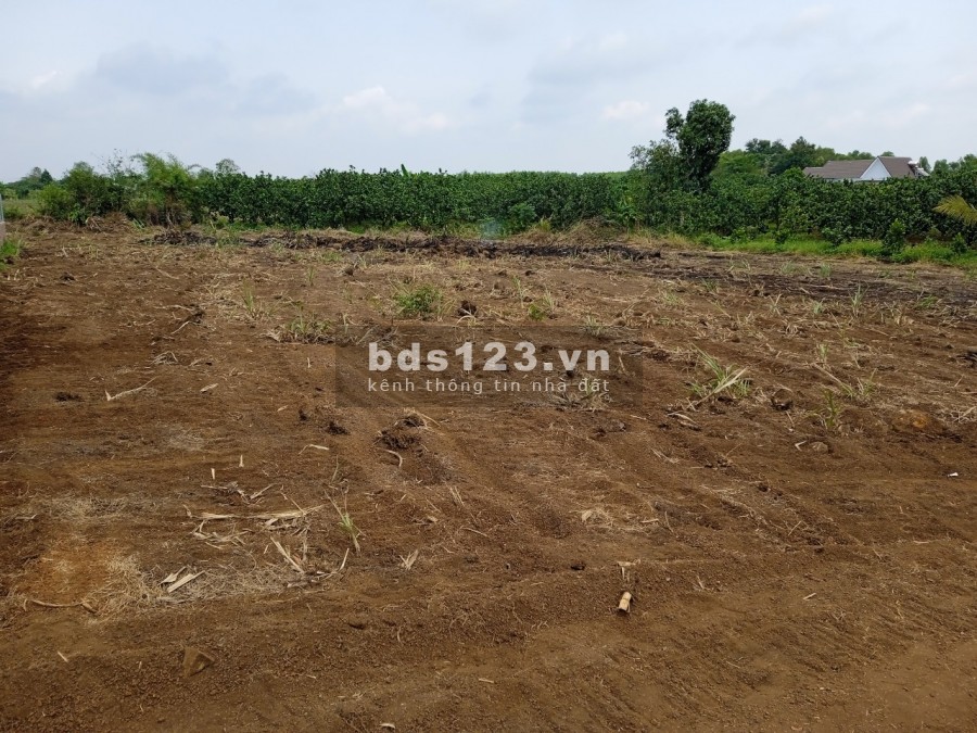 Kẹt tiền bán gấp miếng đất vườn 1000m2 huyện Trảng Bom