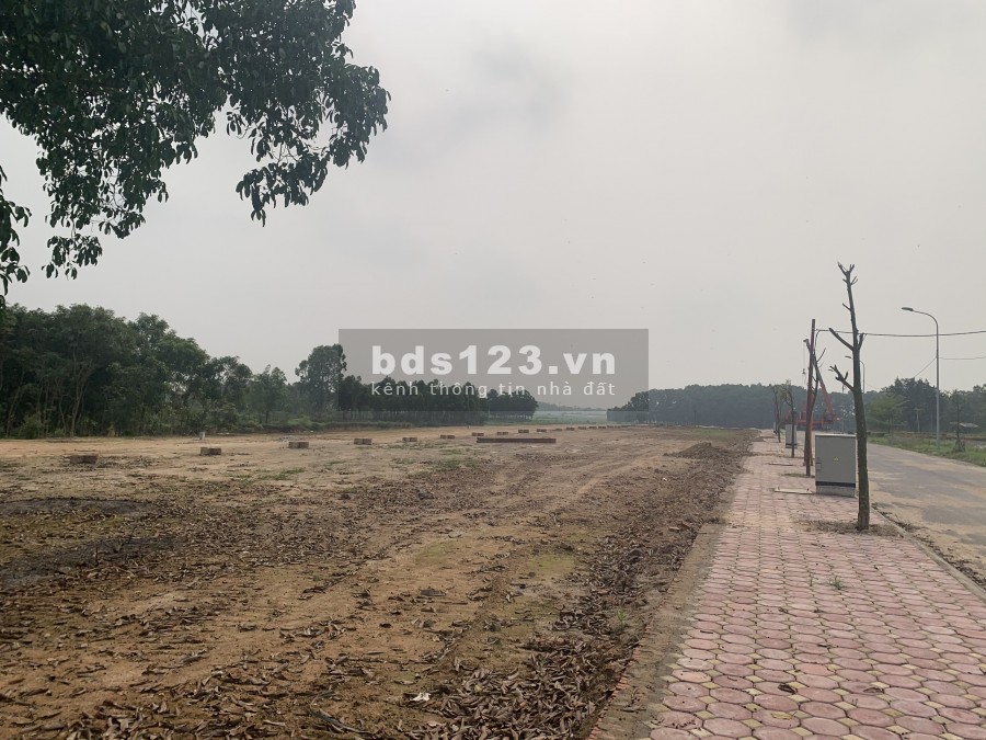 BÁN NHANH LÔ ĐẤT SỔ ĐỎ NGAY, 120M2, MT6M, BẰNG 2 ĐƯỜNG 36M, VIEW VƯỜN HOA ĐẮT GIÁ NHẤT KĐT MỚI XUÂN HOÀ – PHÚC YÊN L/H 0356144*921