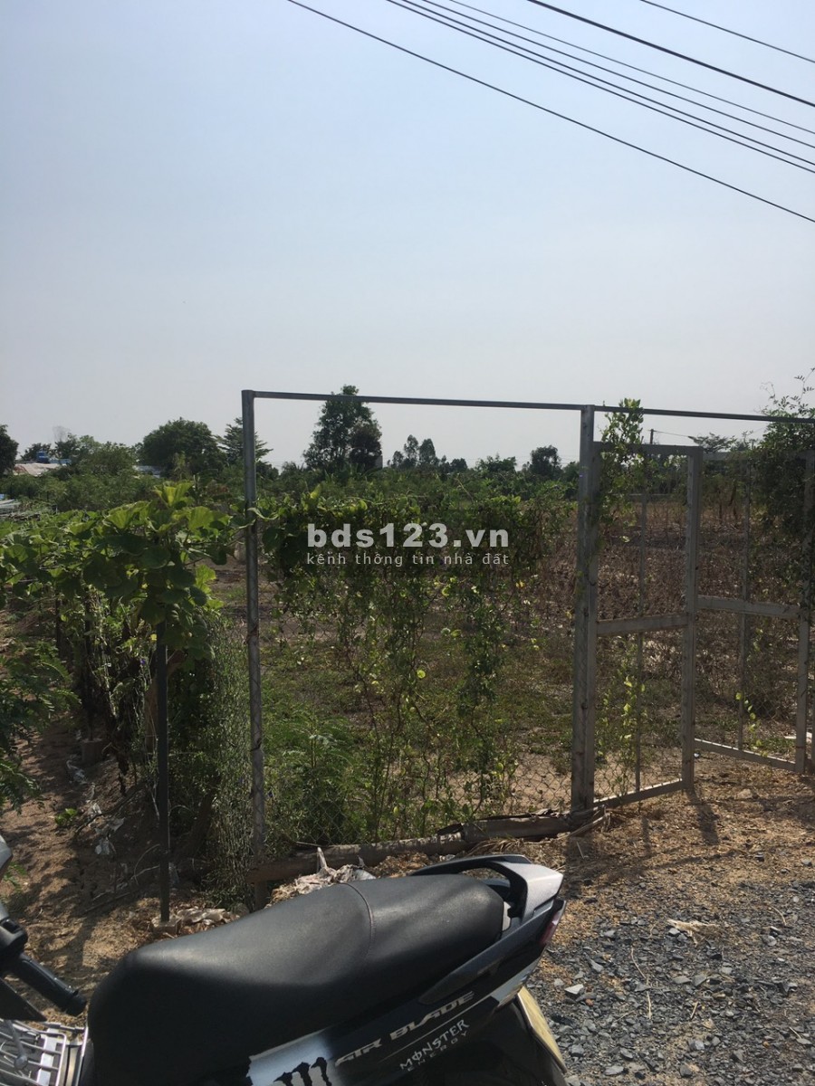 Bán Đất Đường Xe Hơi Nguyễn Văn Thời, X.Quy Đức, H.Bình Chánh SHR 180m2 giá 1,3 tỷ