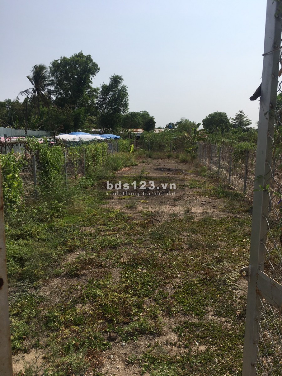 Bán Đất Đường Xe Hơi Nguyễn Văn Thời, X.Quy Đức, H.Bình Chánh SHR 180m2 giá 1,3 tỷ