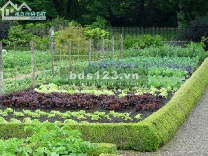 Em cần bán đất Thị Xã Bình Long sản phẩm siêu hót giá cực rẻ chỉ có 4xx 3 măt tiền