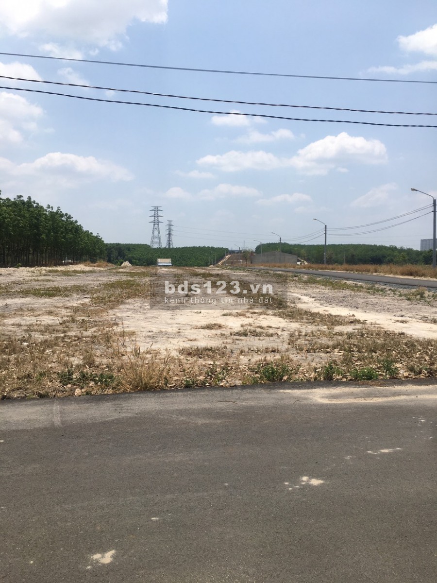 Đất ấp 5 Minh Thành, Chơn Thành giá rẽ sổ sẵn