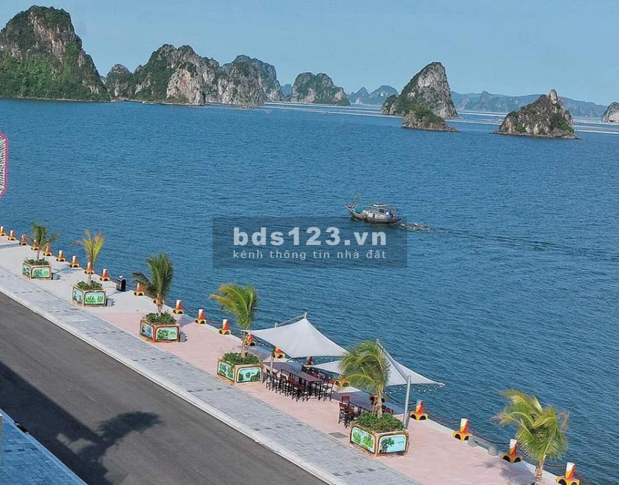 BÁN LÔ BT MẶT BIỂN VÂN ĐỒN (CÓ SỔ ĐỎ) - CAM KẾT SINH LỜI 35%/14 Tháng GIÁ CHỈ 2X TRIỆU/M2. MẶT VỊNH BÁI TỬ LONG