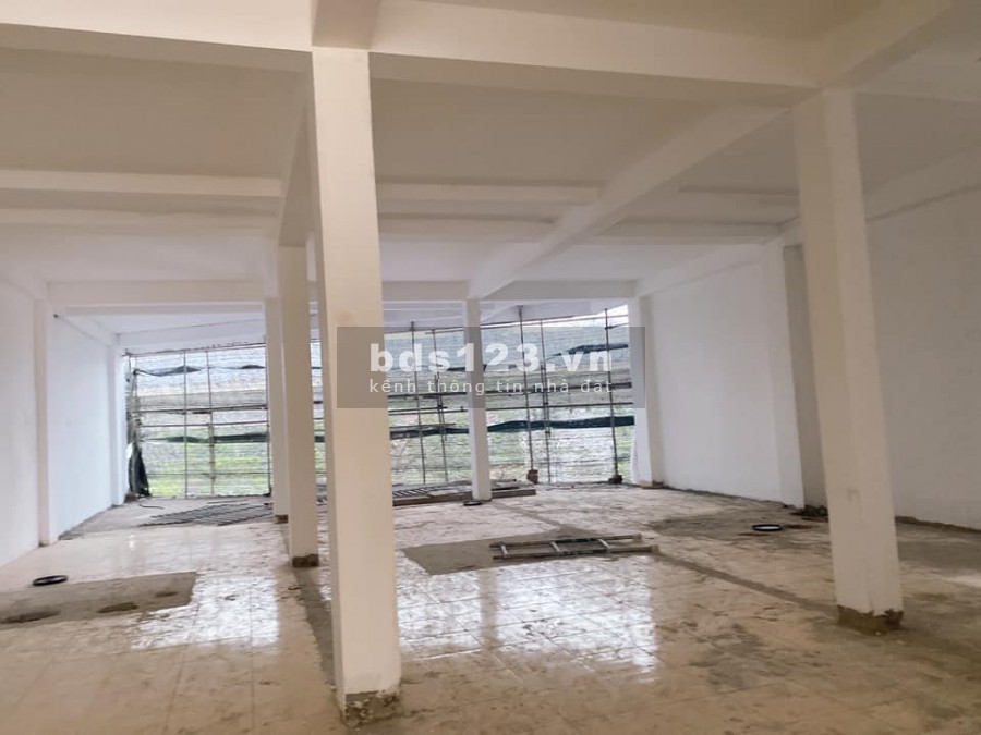 Bán tòa nhà phố Hoàng Cầu, Đống Đa 216 m2, 8 Tầng, MT 11m GIá 66 tỷ