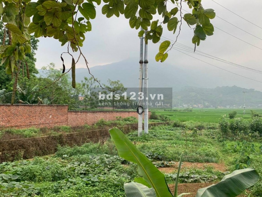 BÁN ĐẤT TIẾN XUÂN THẠCH THẤT - HƠN 2000M VIEW CÁNH ĐỒNG THOÁNG RỘNG, GIÁ RẺ CHO CÁC NHÀ ĐẦU TƯ
