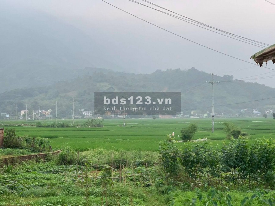 BÁN ĐẤT TIẾN XUÂN THẠCH THẤT - HƠN 2000M VIEW CÁNH ĐỒNG THOÁNG RỘNG, GIÁ RẺ CHO CÁC NHÀ ĐẦU TƯ