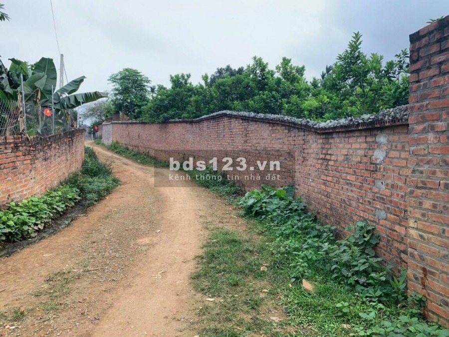 BÁN ĐẤT TIẾN XUÂN THẠCH THẤT - HƠN 2000M VIEW CÁNH ĐỒNG THOÁNG RỘNG, GIÁ RẺ CHO CÁC NHÀ ĐẦU TƯ