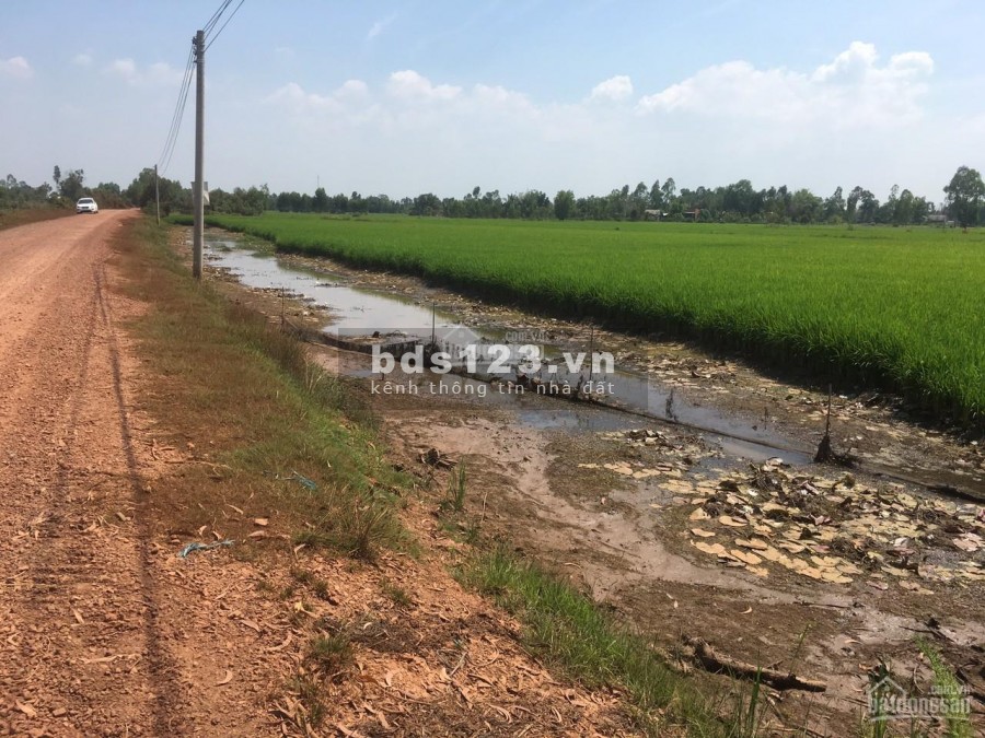 BÁN ĐẤT THỔ VƯỜN ĐƯỜNG TỈNH LỘ 830, XÃ KHÁNH HÒA NAM, LONG AN
