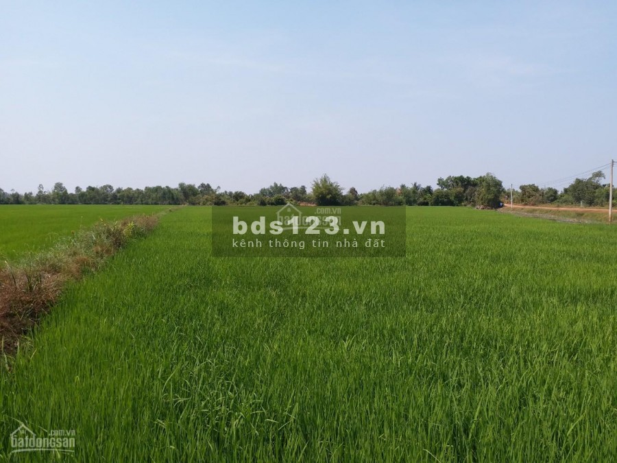 BÁN ĐẤT THỔ VƯỜN ĐƯỜNG TỈNH LỘ 830, XÃ KHÁNH HÒA NAM, LONG AN