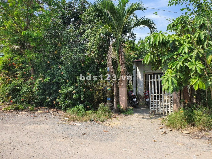 Bán đất đường xuân thới sơn 12 ngay cầu lớn huyện Hóc môn