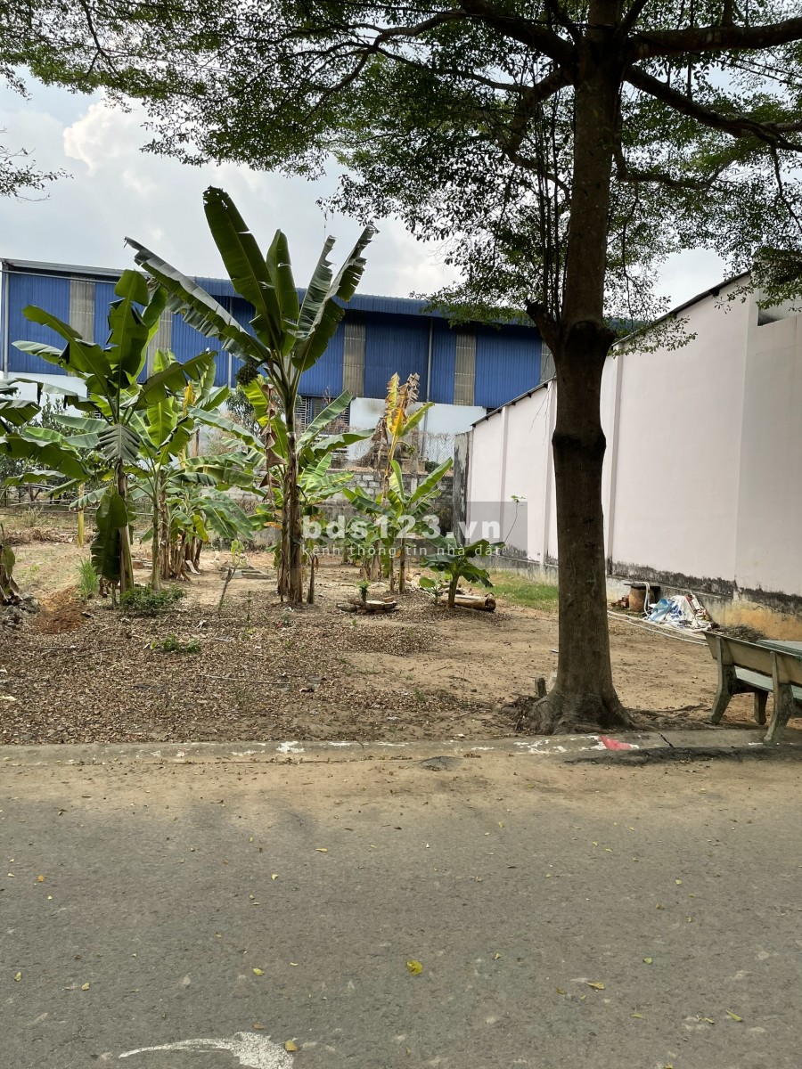 Cần tiền trả nợ gia đình tôi cần bán lô đất sát quốc lộ 13, đường thông dân đông