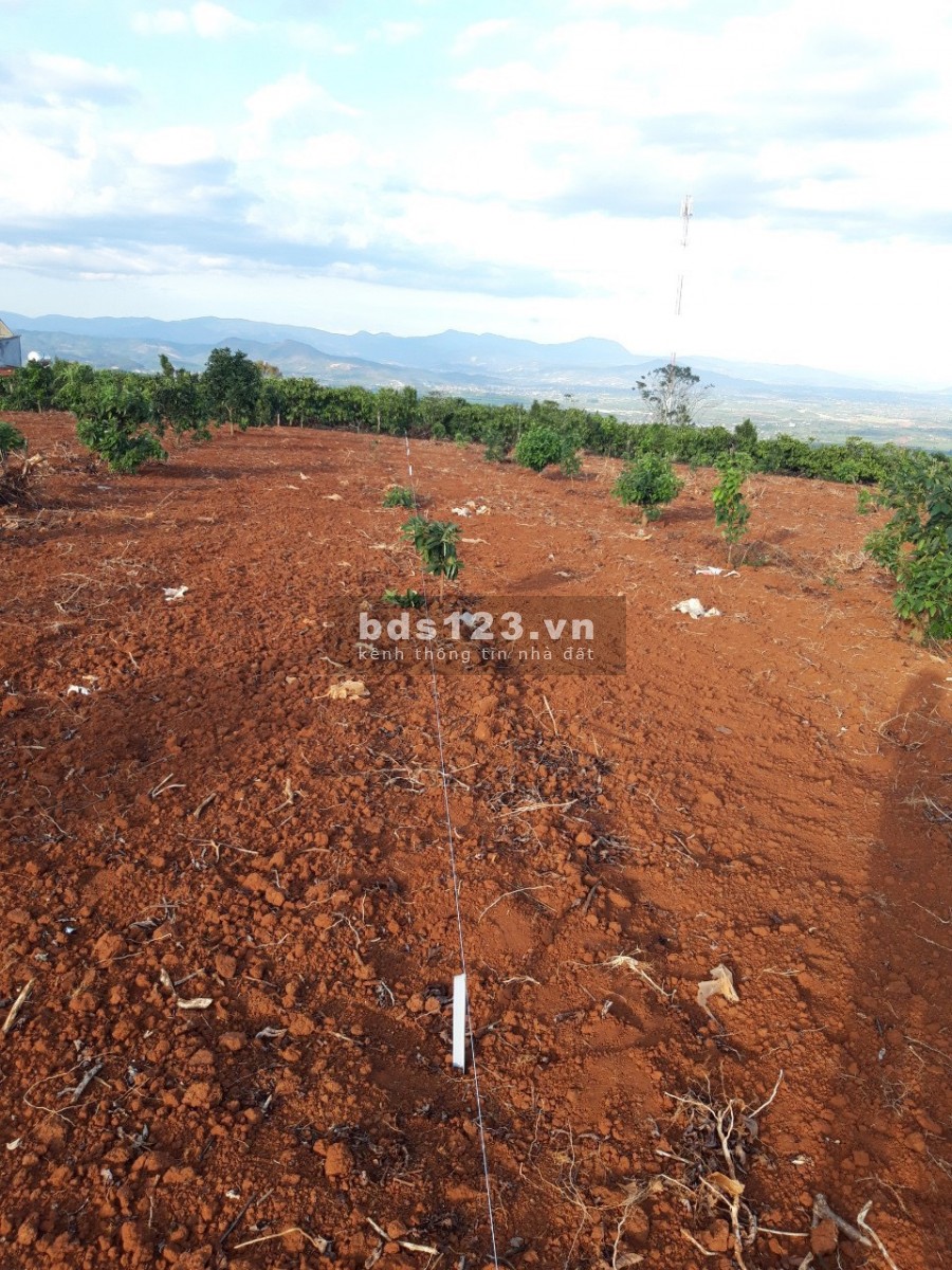 ĐẦU TƯ 200M2 ĐẤT NGHỈ DƯỠNG MÊ LINH, ĐÀ LẠT CHỈ VỚI 700 TRIỆU