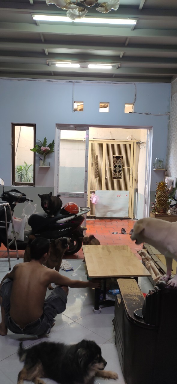 Cần bán nhà gấp trả nợ ngân hàng 100m2 Huỳnh Tấn Phát.