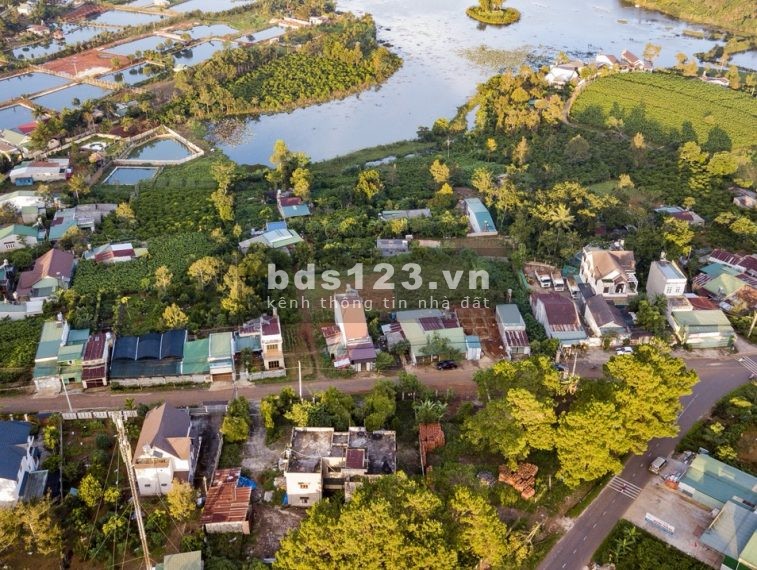 Chính chủ cần bán lô đất 4800m2 tại Dambri- Bảo Lộc giá 8 tỷ
