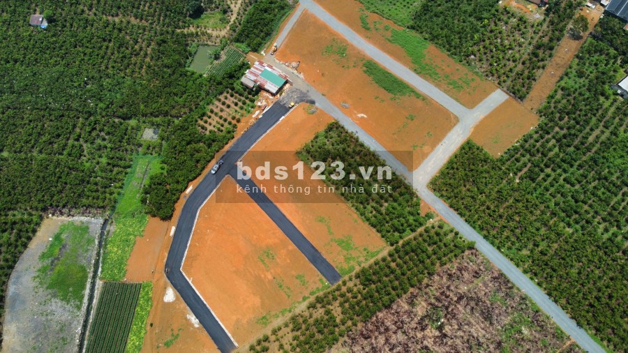Thèm tiền nay cần bán gấp 200m thổ cư Nguyễn Văn Cừ, trung tâm Bảo Lộc