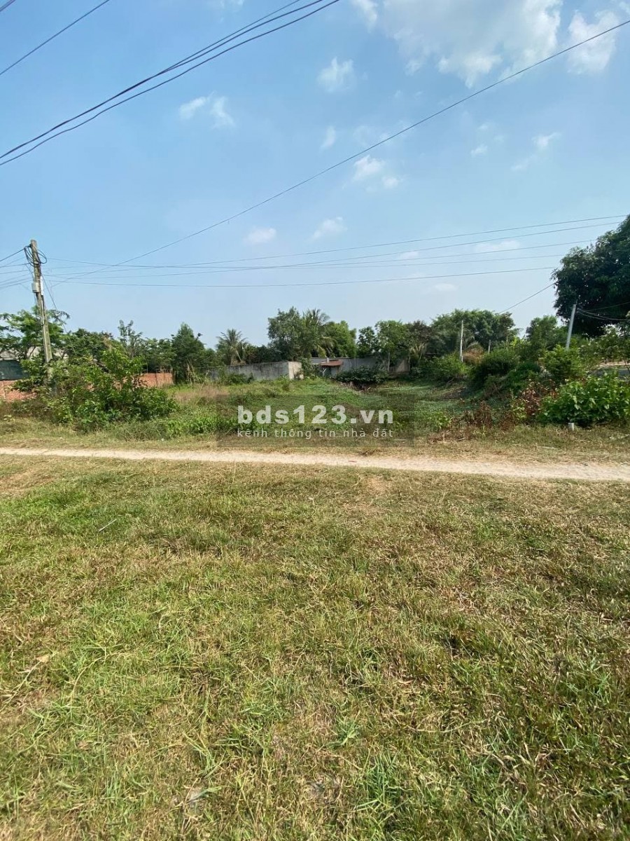 Bán nhanh lô đất trồng lúa Diện tích 1418m2 nở hậu, cách QL 22 Xuyên Á - Bến Cầu 900m.
