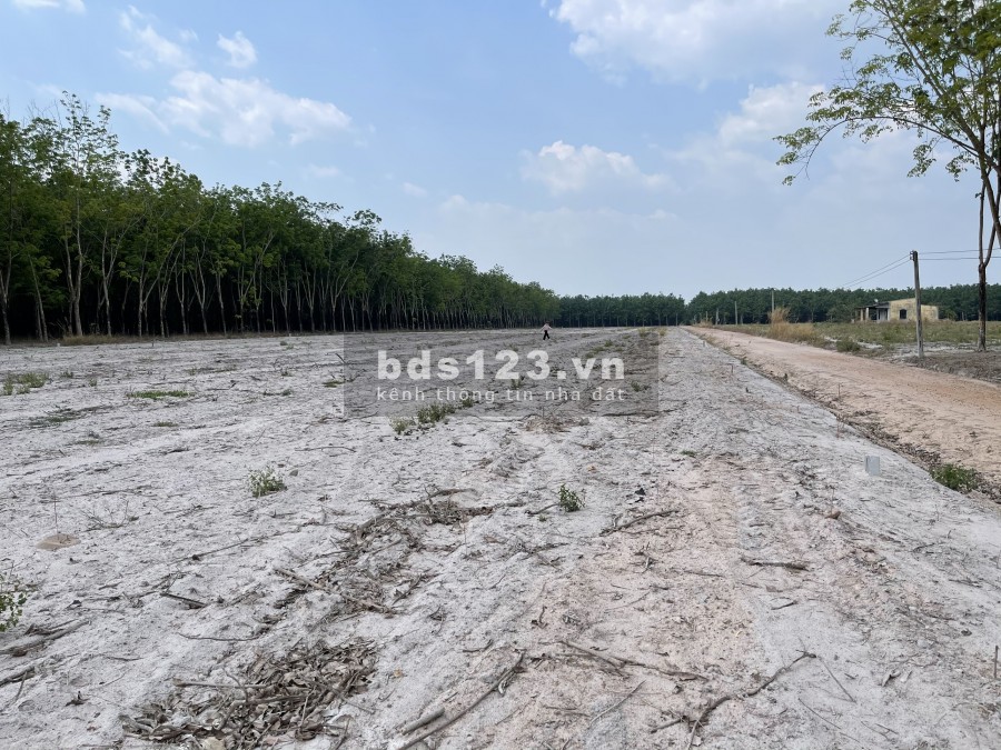 Bán đất xã Suối Dây, huyện Tân Châu, tỉnh Tây Ninh giá rẻ