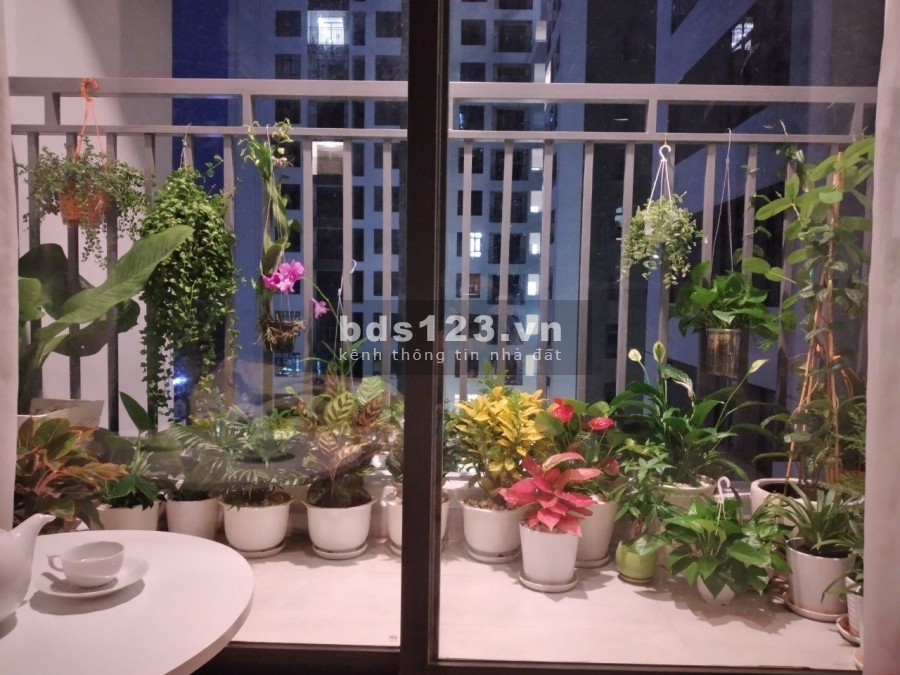 Cho thuê Officetel full nội thất căn hộ Central premium 856 Tạ quang Bửu Q8