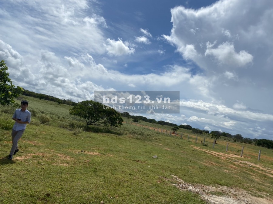Bán 22,971m2 đất vườn hoà thắng, bắc bình 2 mặt tiền vuông đẹp cách ĐT 716 2km chỉ 110k/m2 Lh 0938677909 Hiền