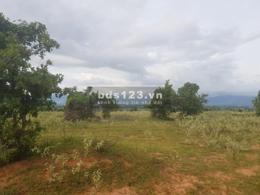 Bán 22,971m2 đất vườn hoà thắng, bắc bình 2 mặt tiền vuông đẹp cách ĐT 716 2km chỉ 110k/m2 Lh 0938677909 Hiền