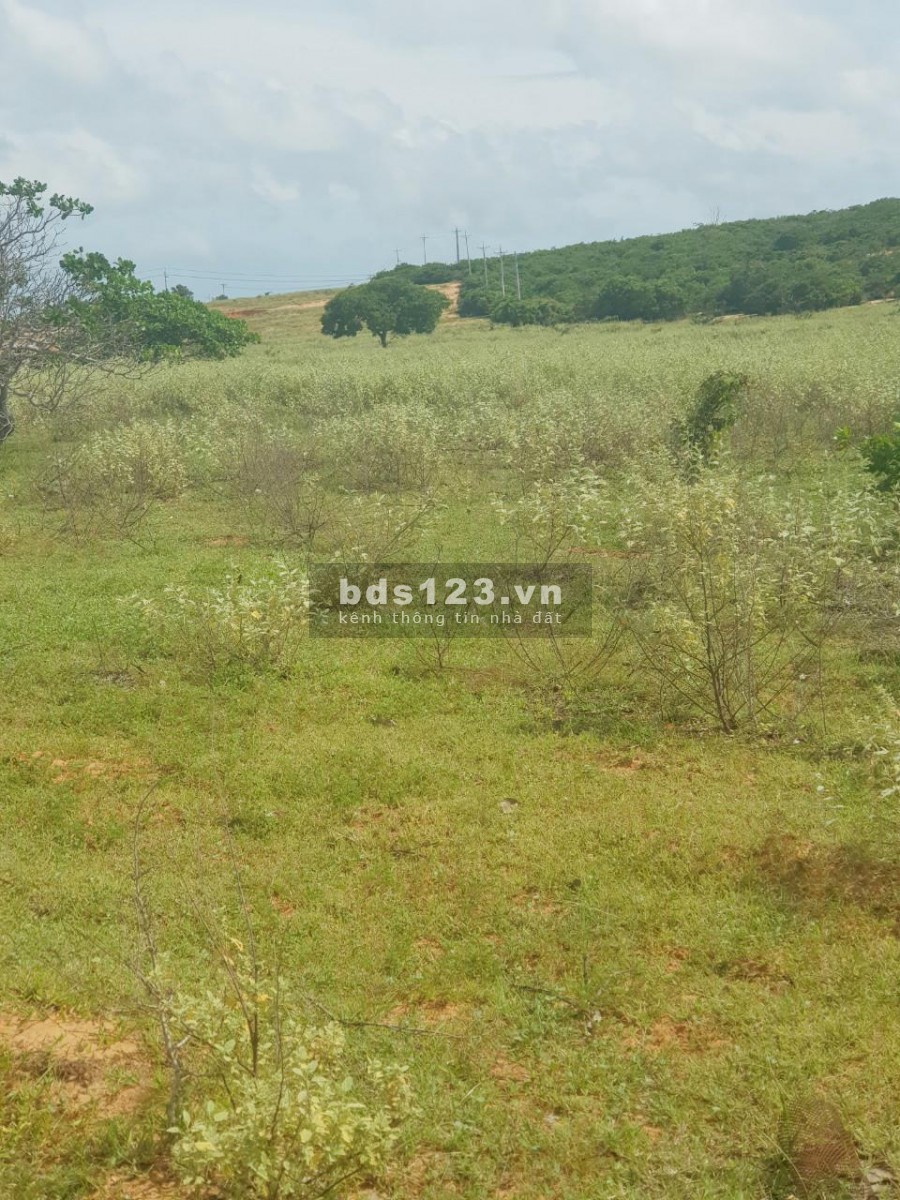 Bán 22,971m2 đất vườn hoà thắng, bắc bình 2 mặt tiền vuông đẹp cách ĐT 716 2km chỉ 110k/m2 Lh 0938677909 Hiền