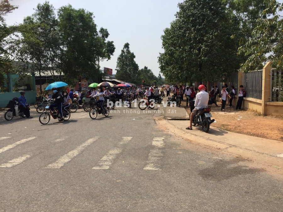 ĐẤT MT CHỢ 297M2 THỔ CƯ BUÔN BÁN SẦM UẤT DÂN ĐÔNG