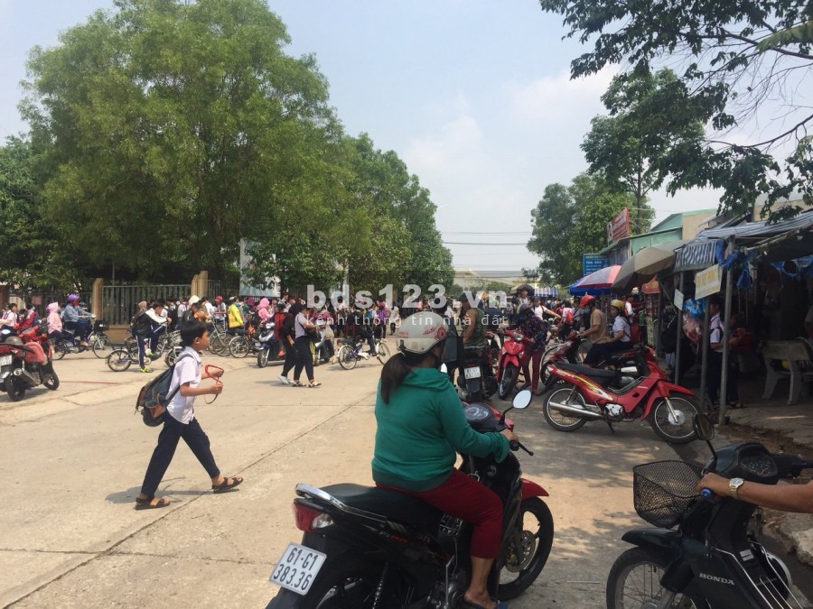 ĐẤT MT CHỢ 297M2 THỔ CƯ BUÔN BÁN SẦM UẤT DÂN ĐÔNG