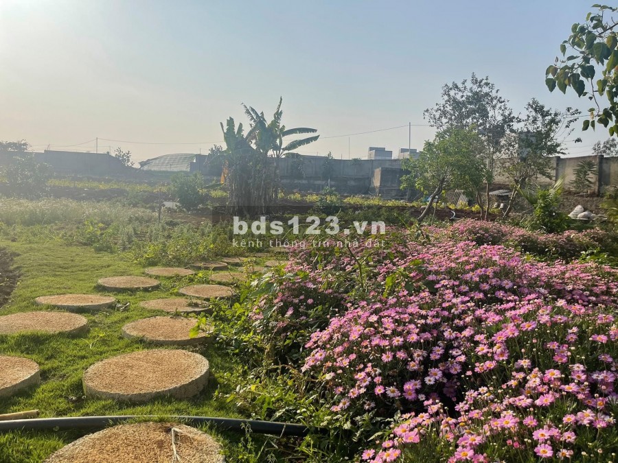 LA BEAUTE- Làng sinh thái lớn nhất Bảo Lộc