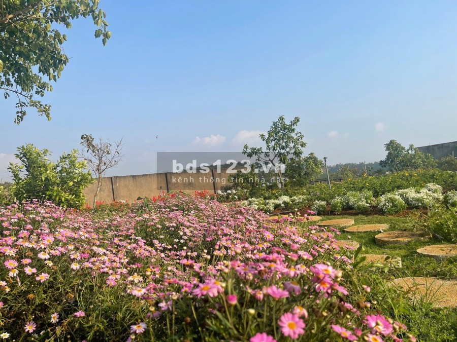LA BEAUTE- Làng sinh thái lớn nhất Bảo Lộc