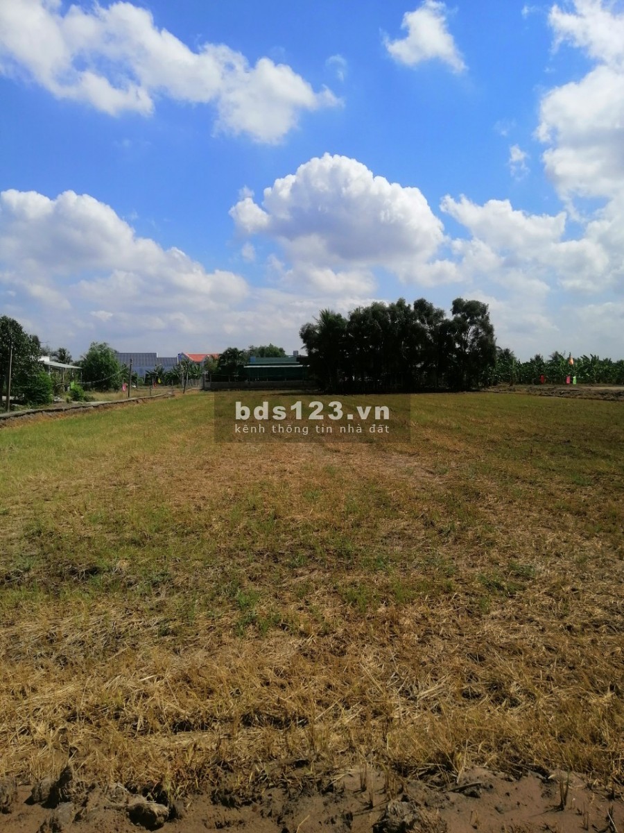 Cần bán lô đất đường 833b gần chợ Gò Đen