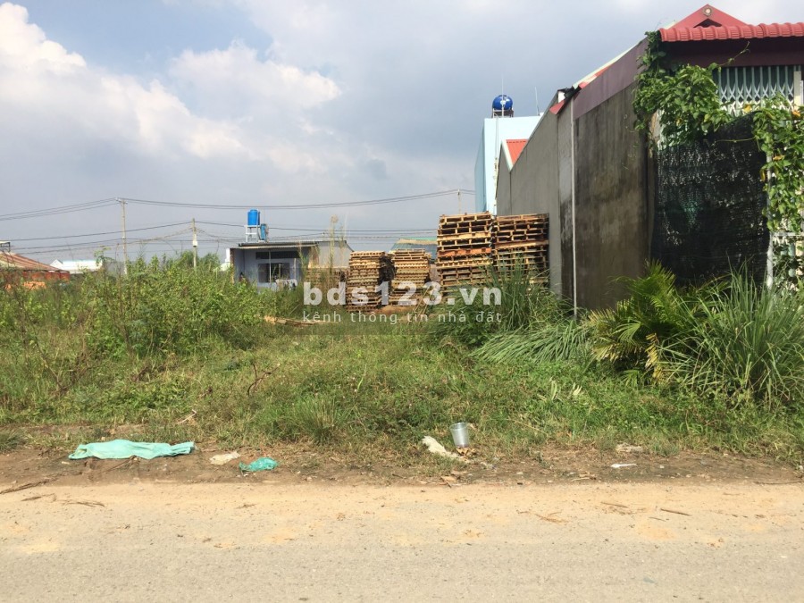 Tôi bán lô đất, đối diện chợ Long Cang 125m2, đã có SHR, đường nhựa