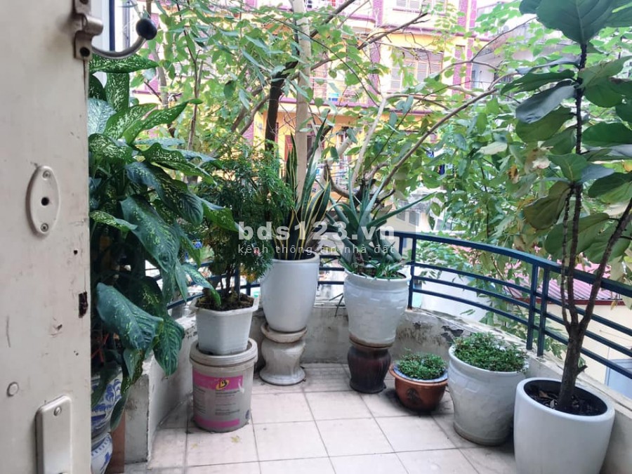 Nhà phố Đội Cấn 41m2x5 tầng, 20m ô tô, tiểu cảnh, 4.5 tỷ
